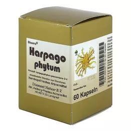 HARPAGOPHYTUM BIOXERA Kapsulas, 60 gab