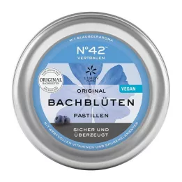 SELBSTVERTRAUEN Baha ziedu pastila pēc Dr. Baha, 50 g