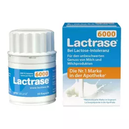 LACTRASE 6000 FCC kapsulas, 60 gab
