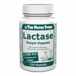 LACTASE 12 000 FCC Enzīmu kapsulas, 120 gab
