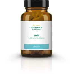 SAM S-ADENOSYLMETHIONIN kapsulas, 60 gab