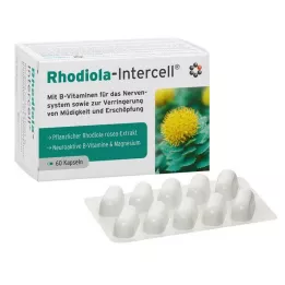 RHODIOLA-INTERCELL kapsulas, 60 gab