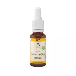 BACHBLÜTEN Nr.7 Chestnut Bud Organic, 20 ml