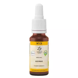 BACHBLÜTEN Nr.13 Gorse Organic, 20 ml