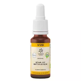 BACHBLÜTEN Nr.29 Star of Bethlehem Organic, 20 ml