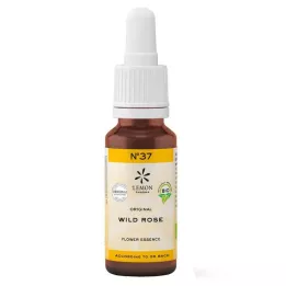 BACHBLÜTEN Nr.37 Wild Rose Organic, 20 ml