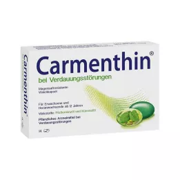 CARMENTHIN gremošanas traucējumiem msr.Mīkstās kapsulas, 14 gab