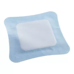VLIWASORB Pro superabsorbents komp. sterils 22x22 cm, 10 gab