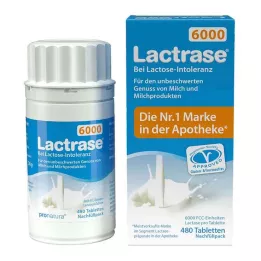 LACTRASE 6000 FCC Tbl.Click dozatora uzpildes iepakojums, 480 gab