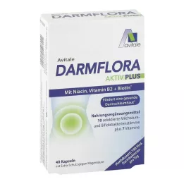 DARMFLORA Aktiv Plus 100 miljardi baktēriju + 7 vitamīni, 40 gab