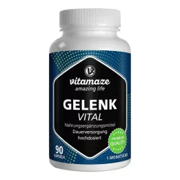 GELENK VITAL kapsulas, 90 gab