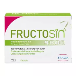 FRUCTOSIN kapsulas, 90 gab