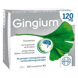 GINGIUM 120 mg apvalkotās tabletes, 120 gab