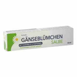 GÄNSEBLÜMCHEN Ziede ar burvju lazdu &amp; Pantenols, 50 ml