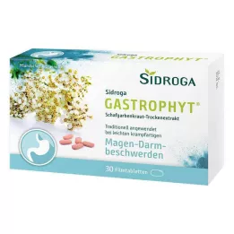 SIDROGA GastroPhyt 250 mg apvalkotās tabletes, 30 gab