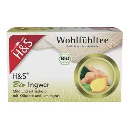 H&amp;S Organic Ginger Filter Maisiņi, 20X2 g