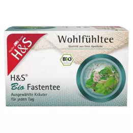 H&amp;S Organic Fasting tējas filtra maisiņi, 20X1,5 g