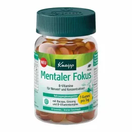 Kneipp Mental Focus Gummies, 30 gab