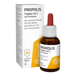 Beecraft Propolisa pilieni 55% plus Echinacea, 30 ml