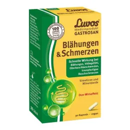 Luvos Gastrozan Meteorisms & Pretsāpju kapsulas, 30 gab
