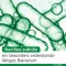 Bioticloges subtilis kapsulas, 15 gab